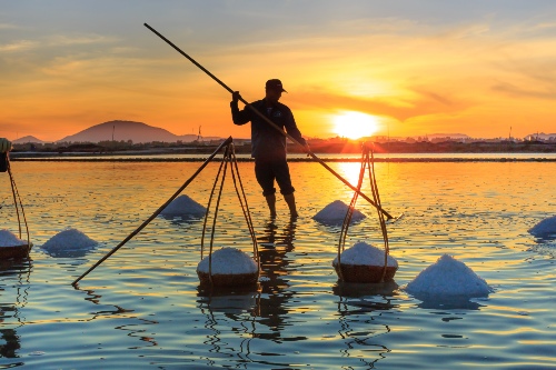 Nha Trang River Tour