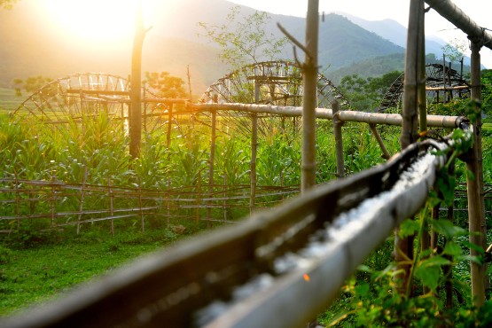 Luxury & Private Trekking in Pu Luong 3 Days