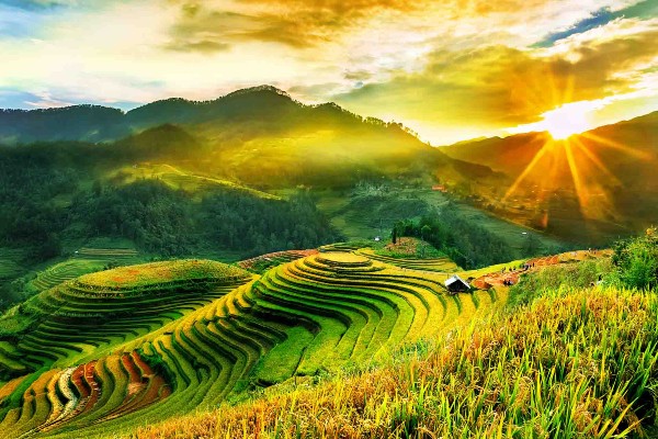 Khám Phá Sa Pa – Thị Trấn Trong Sương Của Việt Nam