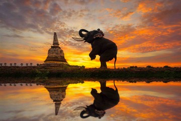 Experience Bangkok In Style 5 Days