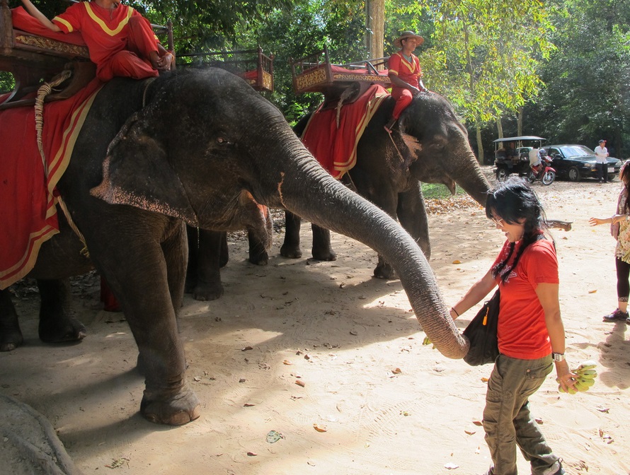 Finding the best Vietnam and Cambodia tour packages