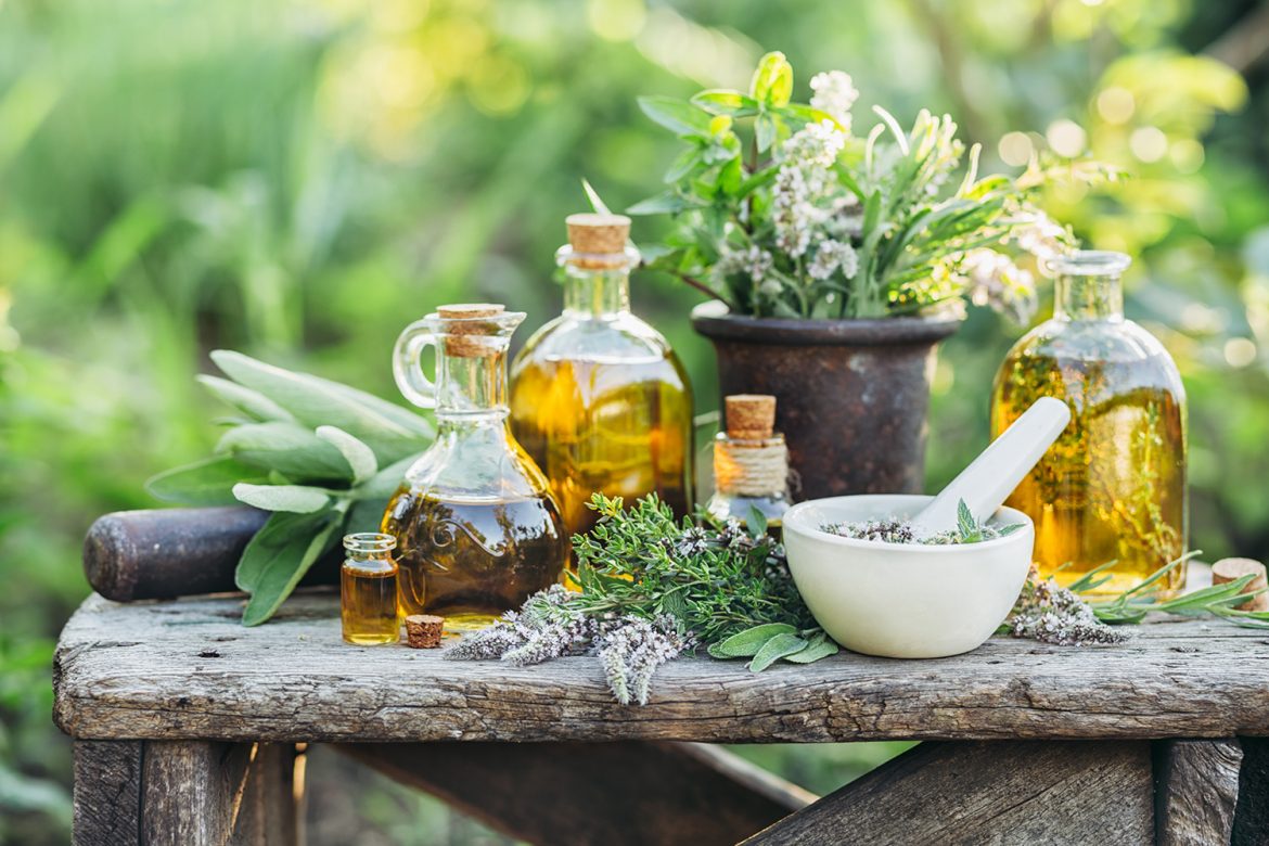 Sustainable Gardening Using Permaculture Principles That You Should Follow