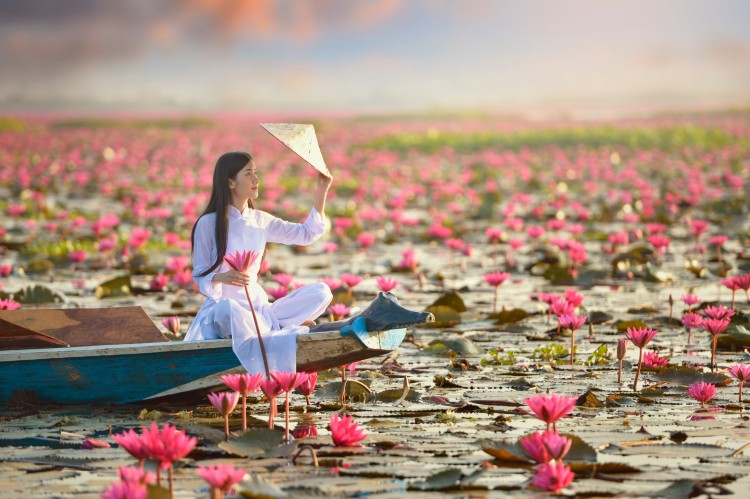 WOW VIETNAM