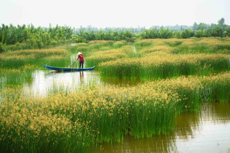Vinh Long Vietnam – An Unspoiled Place That Awaits Your Exploration