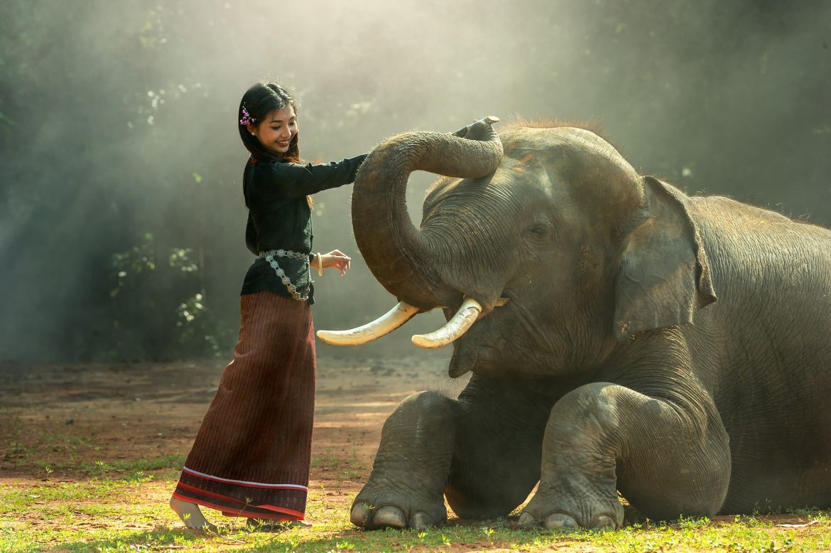 7 Ideal Experiences for a Sustainable Tour to Southeast Asia