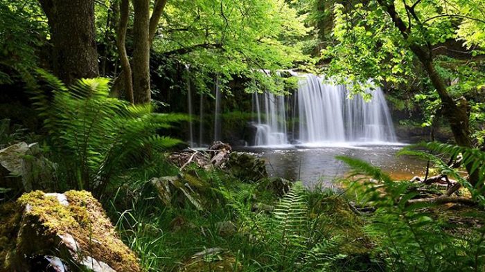 Discover Phu Quoc National Park: A Trekking Haven