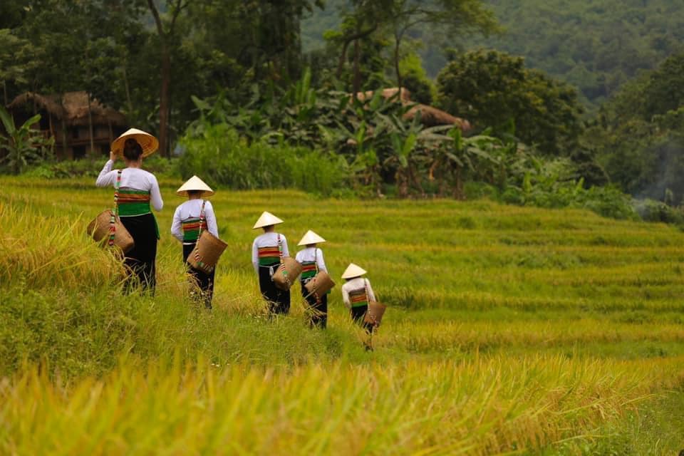 Pu Luong Nature Reserve: Top 8 wonderful experiences