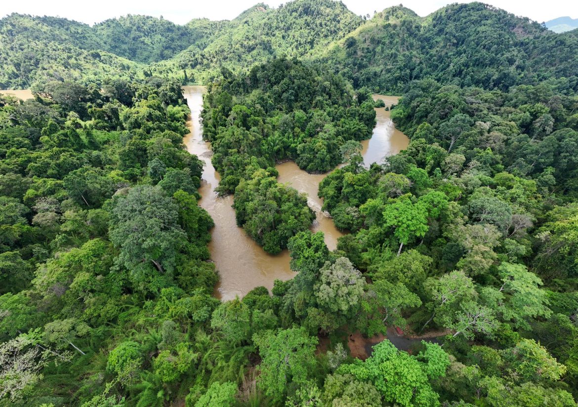Cat Tien National Park: A Comprehensive Guide To Explore