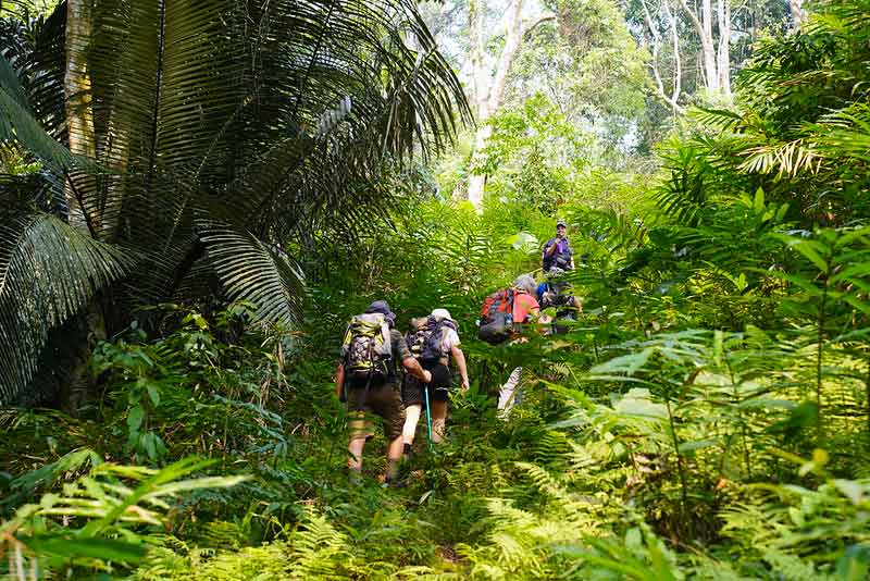 Experience Low Carbon Tours in Vietnam with Lux Travel DMC