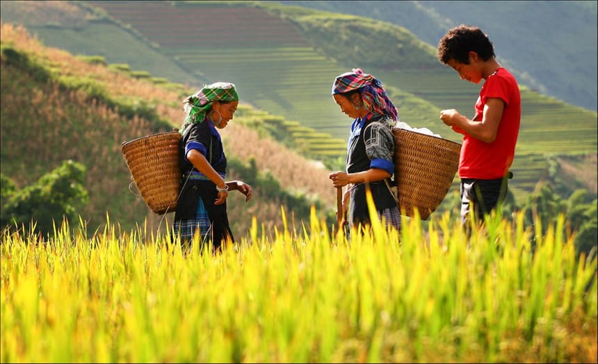 Vietnam Grants Visa Exemption to Three More European Countries