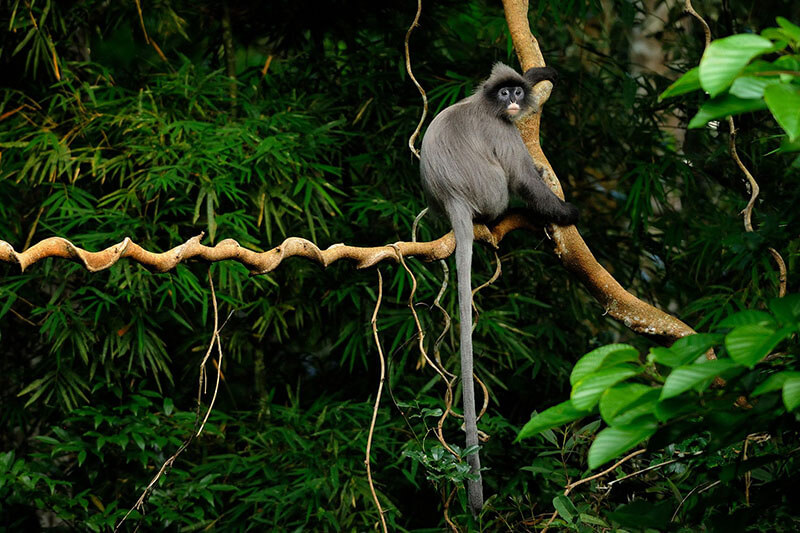 10 Tips How To Be A Responsible Traveler On Wildlife Tours