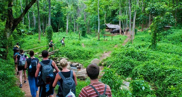 8 Best Vietnam Wildlife Watching Destinations