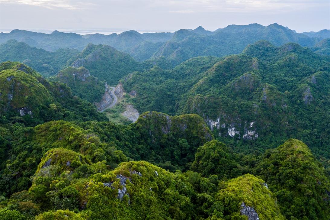 Why Cat Ba National Park Should Be on Your Travel List?