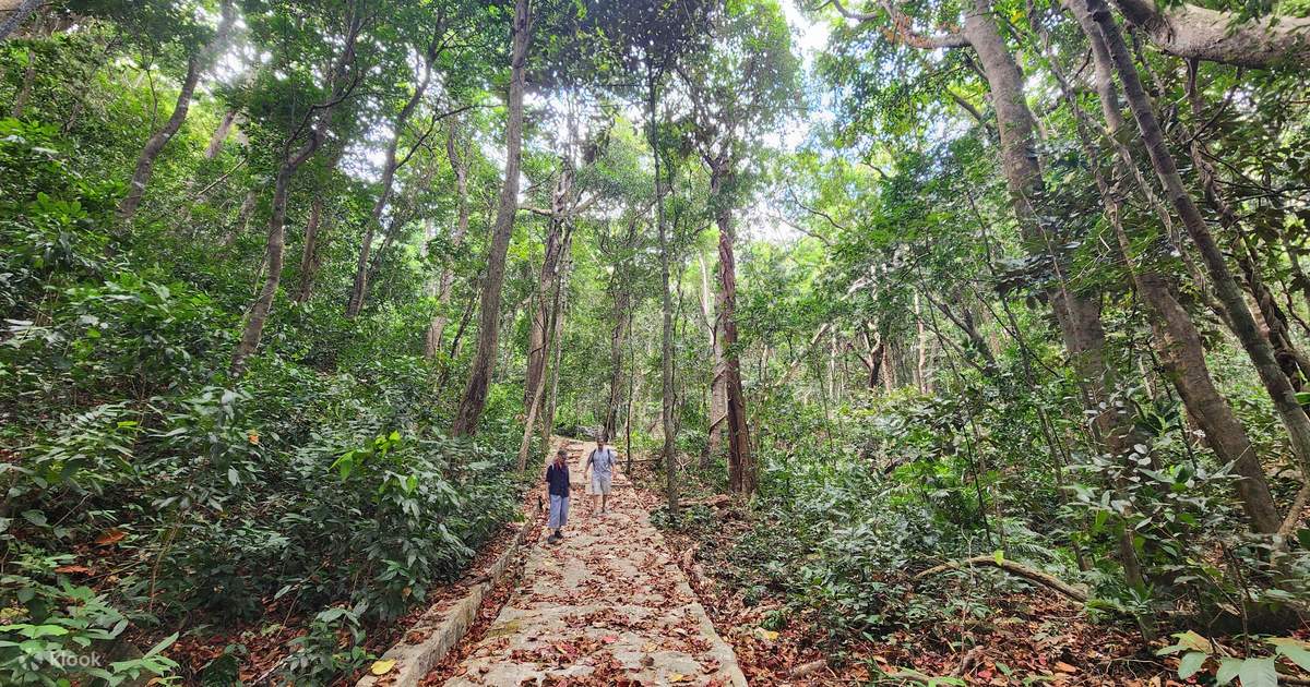 Con Dao National Park: Explore Vietnam’s Natural Wonder
