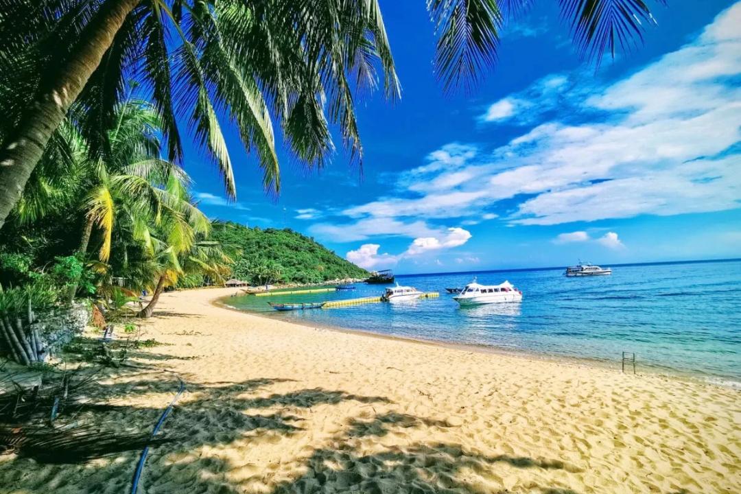 Explore Cham Islands Vietnam: Ultimate Beach & Dive Adventure