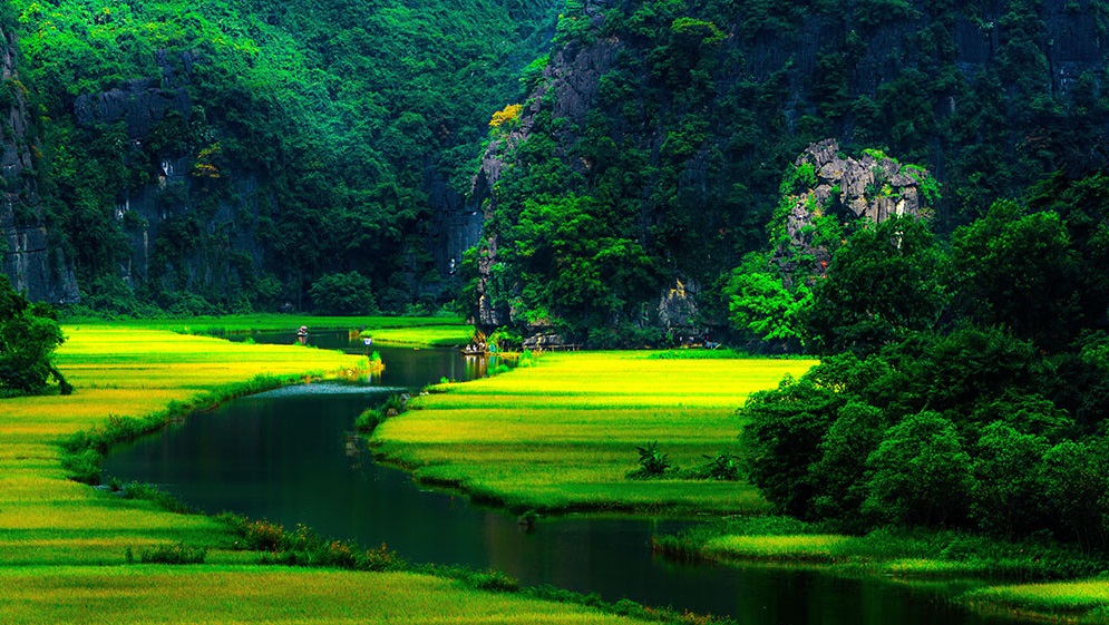 What group travel packages to Vietnam should visit?