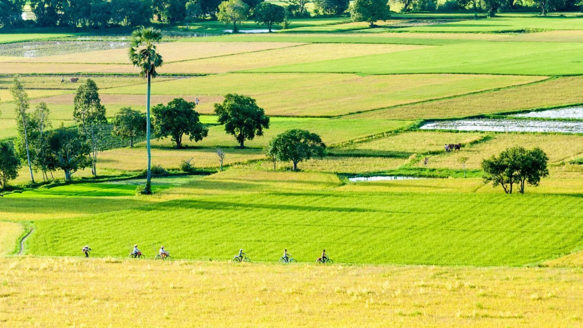 3 tips to make your Mekong day trip in your holiday to Vietnam to be unforgettable experiences