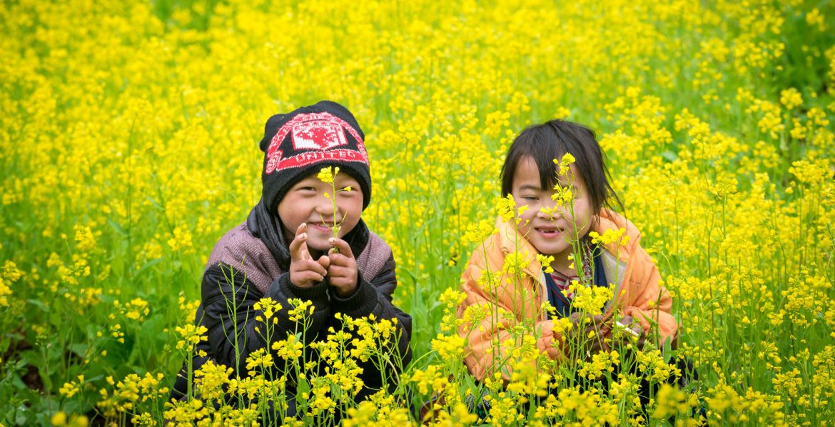 What Special Features in the Spring of Southeast Asia?