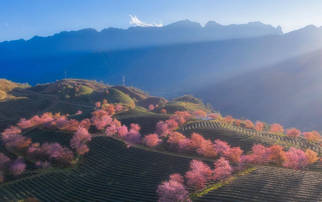 Why the Weather in Sa Pa Makes It Perfect All Year Round?