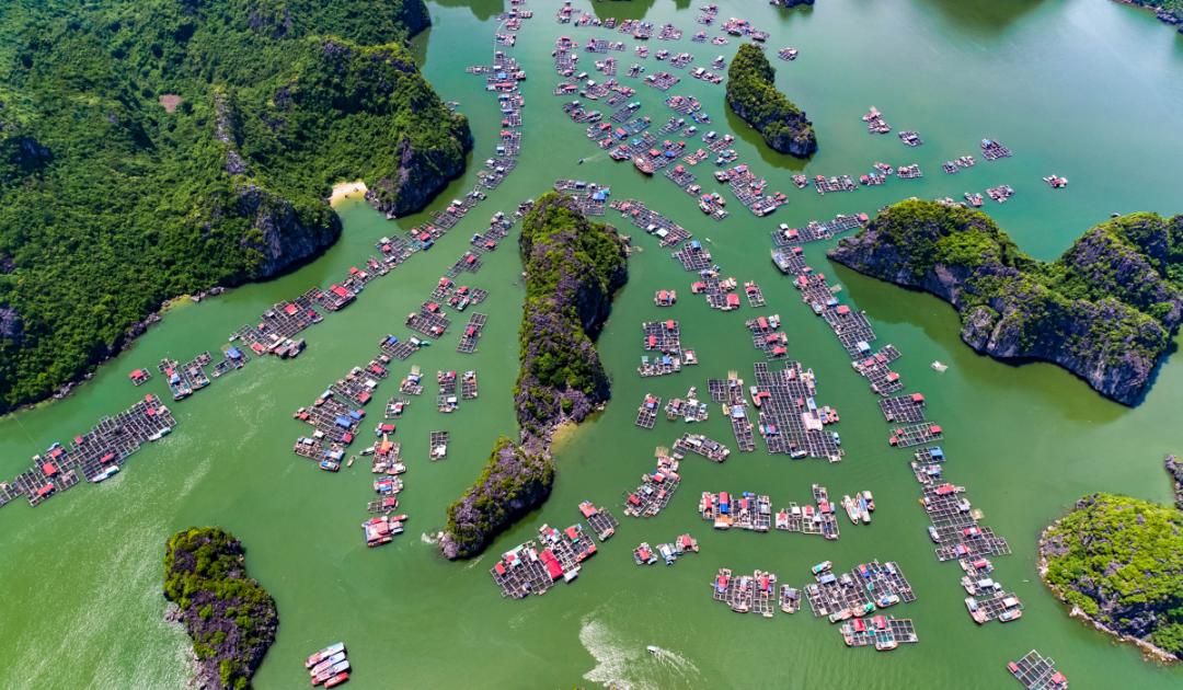 6 Reasons Cai Beo Floating Village Will Captivate You!