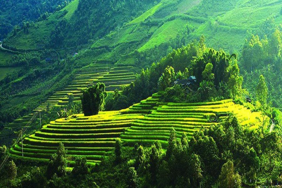 Best Things to Do in Mai Chau: A Complete Travel Guide